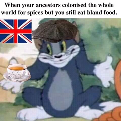 random pics and memes  - british forces - When your ancestors colonised the whole world for spices but you still eat bland food.