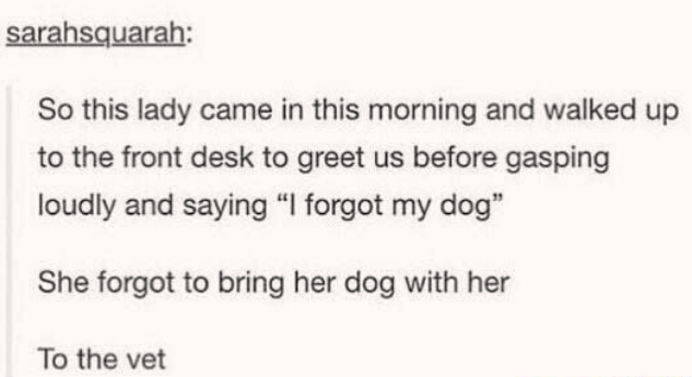 funny tweets and memes - dnd funny - sarahsquarah So this lady came in this morning and walked up to the front desk to greet us before gasping loudly and saying "I forgot my dog" She forgot to bring her dog with her To the vet