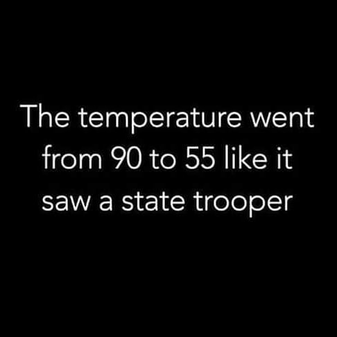 funny tweets and memes - quote start your own business - The temperature went from 90 to 55 it saw a state trooper