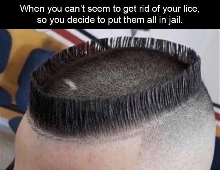 funny tweets and memes - new hair style - When you can't seem to get rid of your lice, so you decide to put them all in jail.