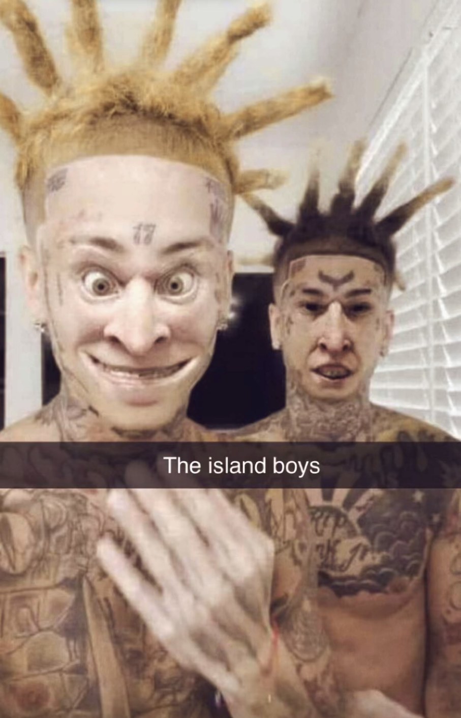 funny memes - head - The island boys