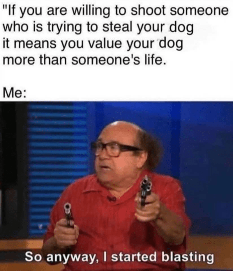 funny memes - stealth so anyways i started blasting - "If you are willing to shoot someone who is trying to steal your dog it means you value your dog more than someone's life. Me So anyway, I started blasting
