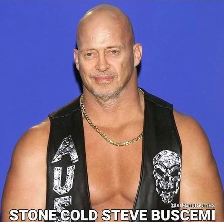 funny memes - Steve Austin - Stone Cold Steve Buscemi