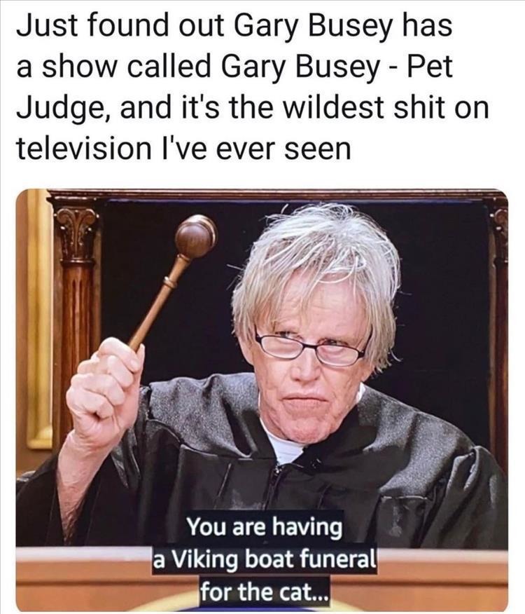 funny memes - photo caption - Just found out Gary Busey has a show called Gary Busey Pet Judge, and it's the wildest shit on television I've ever seen You are having a Viking boat funeral for the cat...