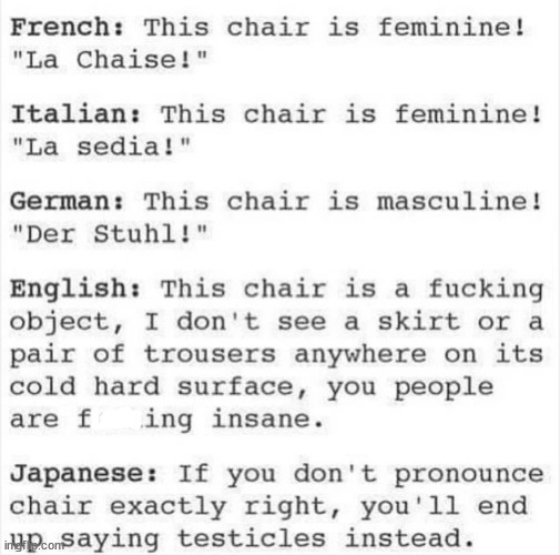 chair is feminine - French This chair is feminine! "La Chaise!" Italian This chair is feminine! "La sedia!" German This chair is masculine ! "Der Stuhl!" English This chair is a fucking object, I don't see a skirt or a pair of trousers anywhere on its col