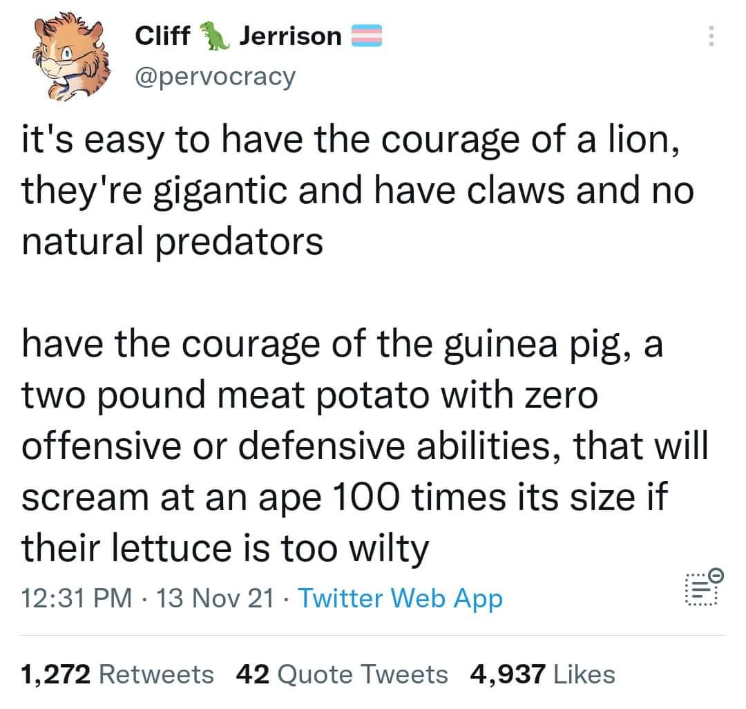 angle - Cliff Jerrison it's easy to have the courage of a lion, they're gigantic and have claws and no natural predators have the courage of the guinea pig, a two pound meat potato with zero offensive or defensive abilities, that will scream at an ape 100