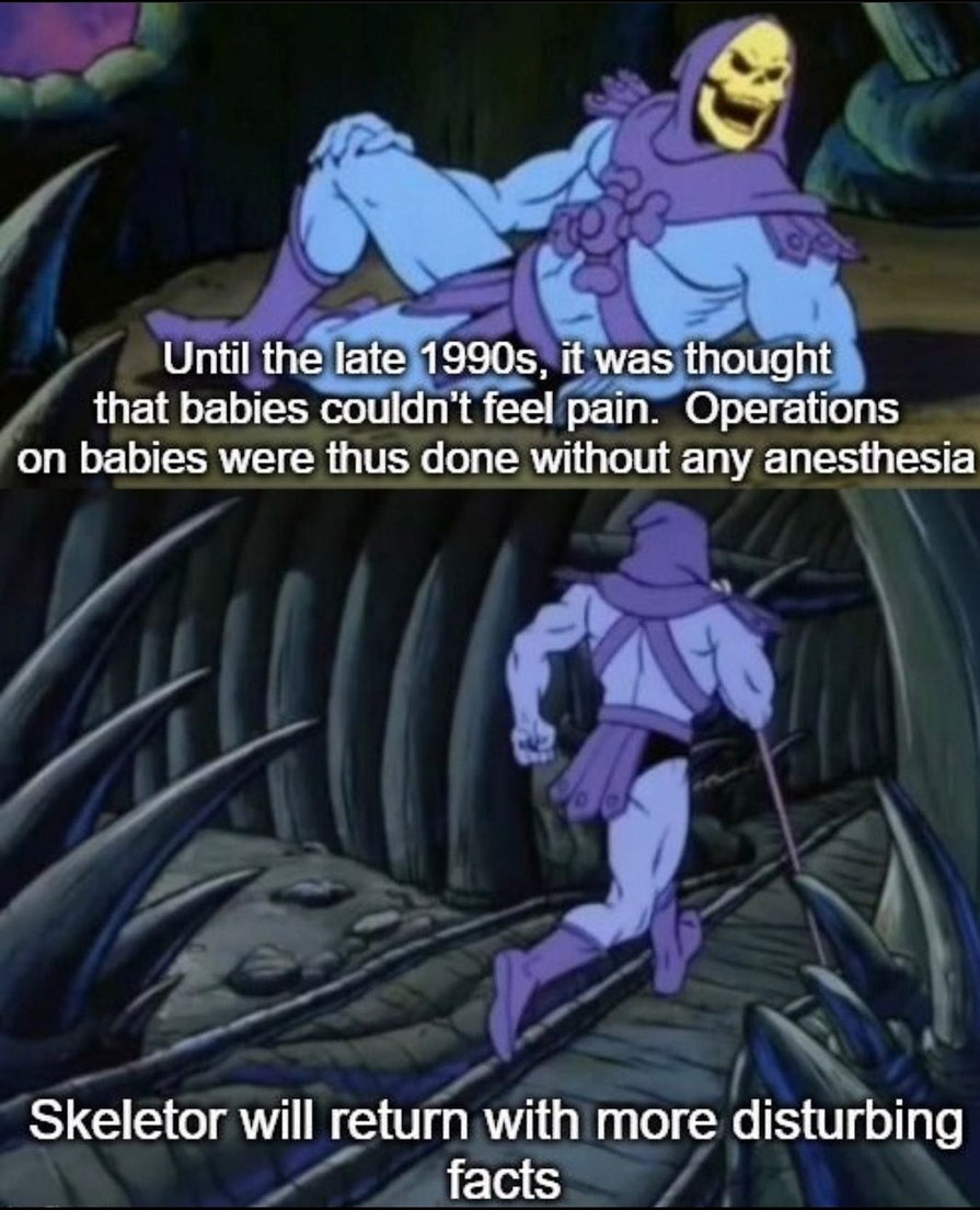 skeletor meme template - Until the late 1990s, it was thought that babies couldn't feel pain. Operations on babies were thus done without any anesthesia Skeletor will return with more disturbing facts