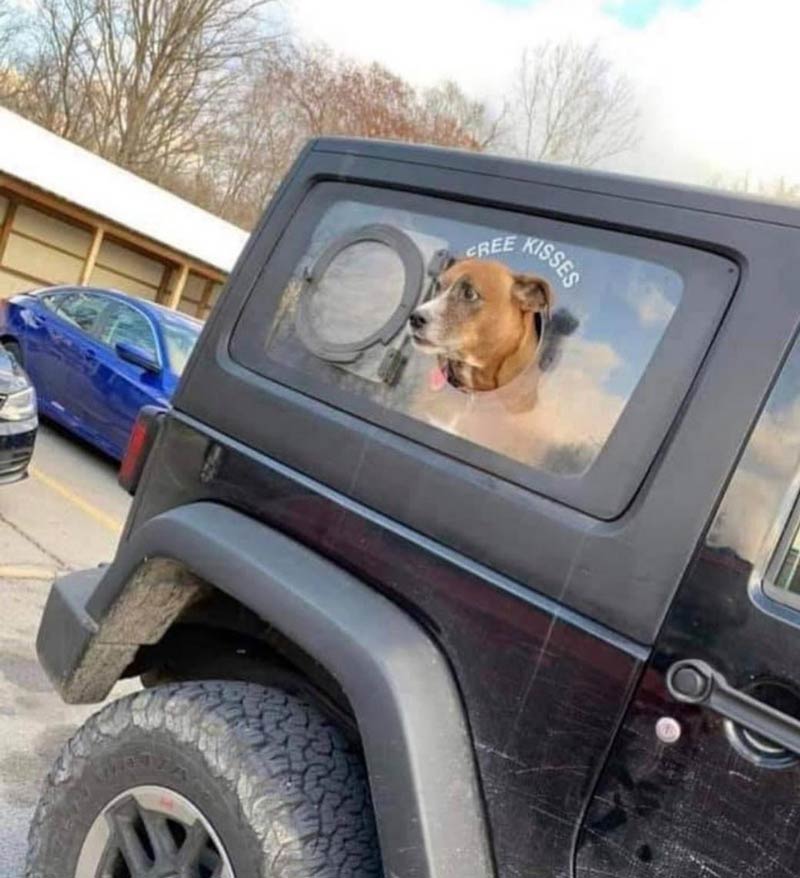 jeep dog window - Kisses Cree