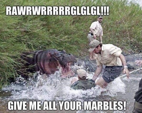 hungry hungry hippos meme - Rawrwrrrrrglglgl!!! Give Me All Your Marbles!