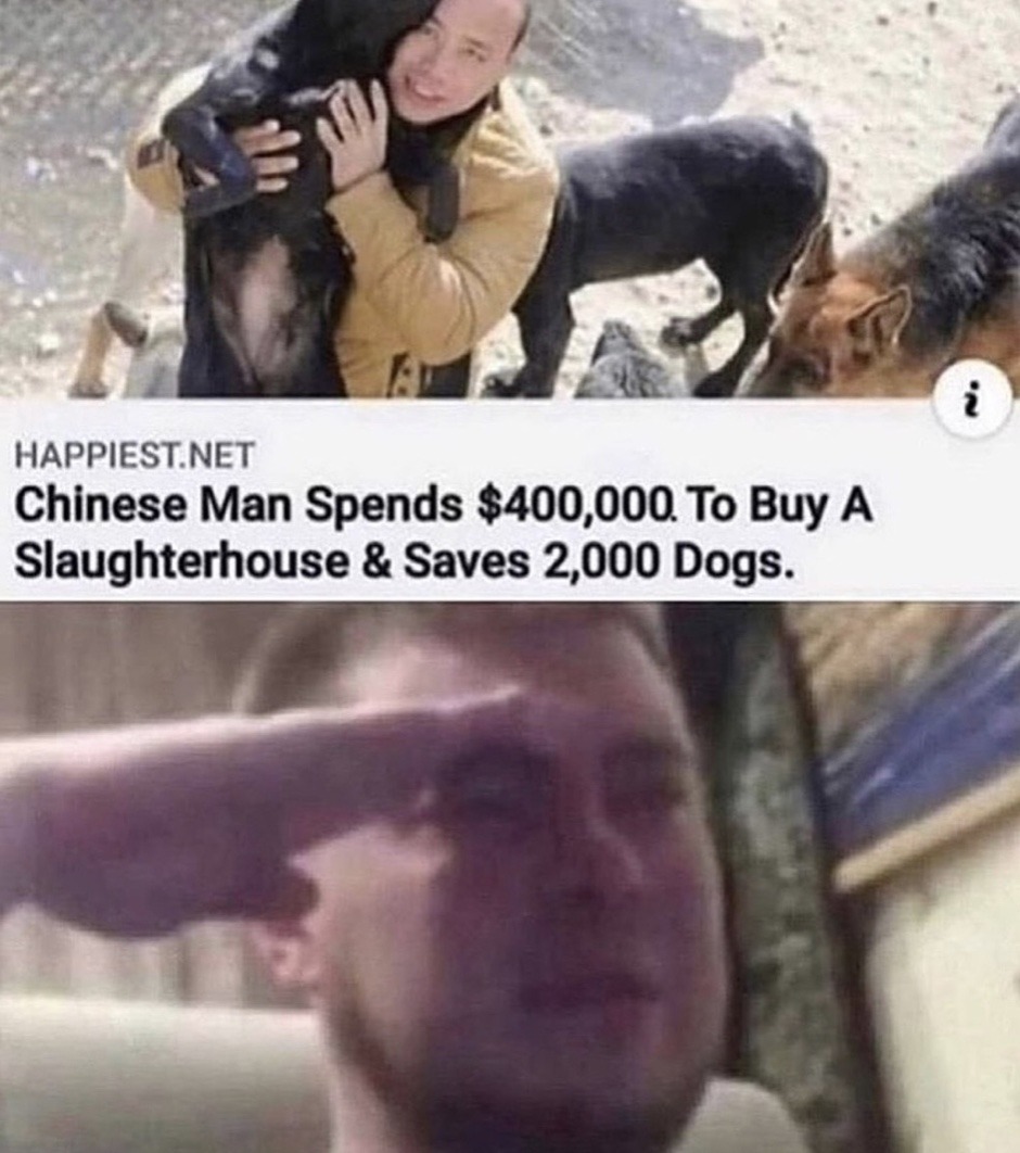 funny randoms  - because that's what heroes do meme - Happiest.Net Chinese Man Spends $400,000. To Buy A Slaughterhouse & Saves 2,000 Dogs.