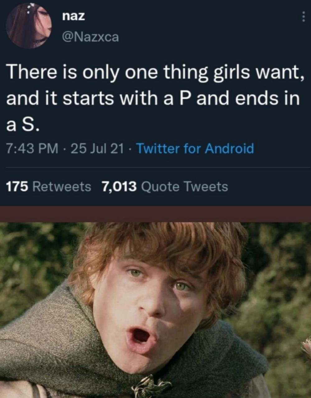 funny randoms  - potatoes meme lotr - naz There is only one thing girls want, and it starts with a P and ends in a S. 25 Jul 21 Twitter for Android 175 7,013 Quote Tweets