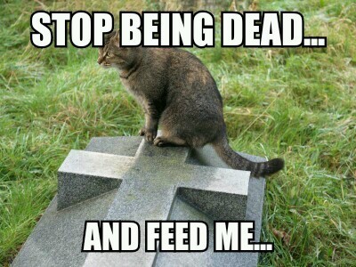 fauna - Stop Being Dead... And Feed Me..