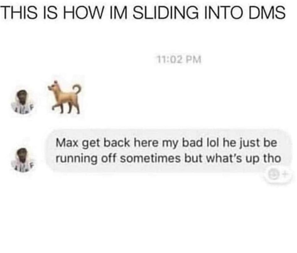 fresh randoms - dog dm slide - This Is How Im Sliding Into Dms Max get back here my bad lol he just be running off sometimes but what's up tho