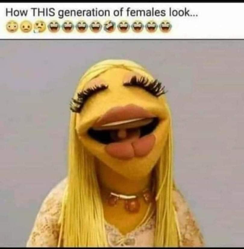 fresh randoms - janice muppet darcy - How This generation of females look...
