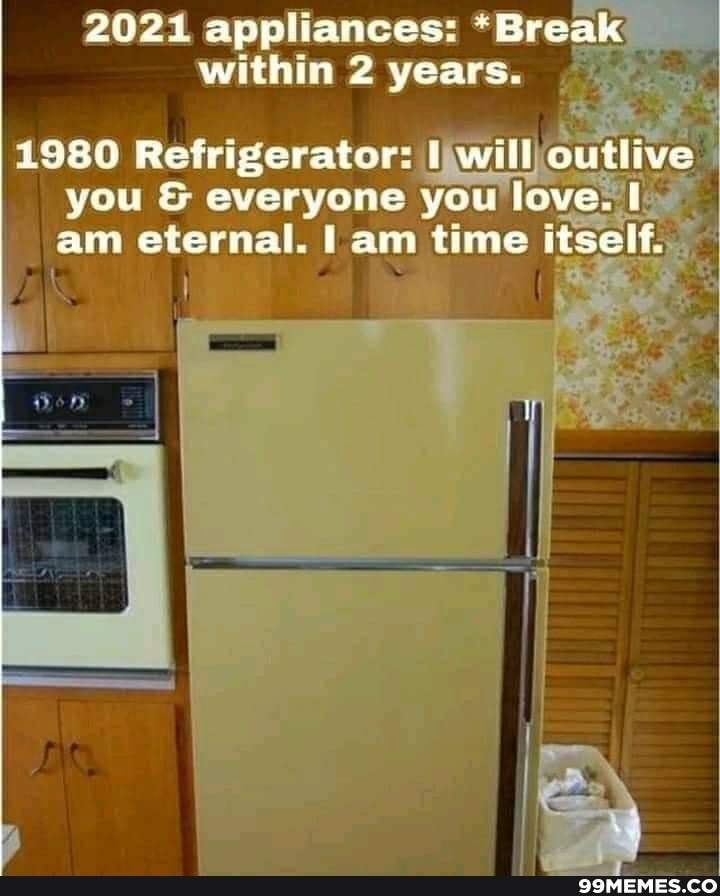 2021 appliances meme - 2021 appliances Break within 2 years. 1980 Refrigerator I will outlive you & everyone you love. I am eternal. I am time itself. 162 99MEMES.Co