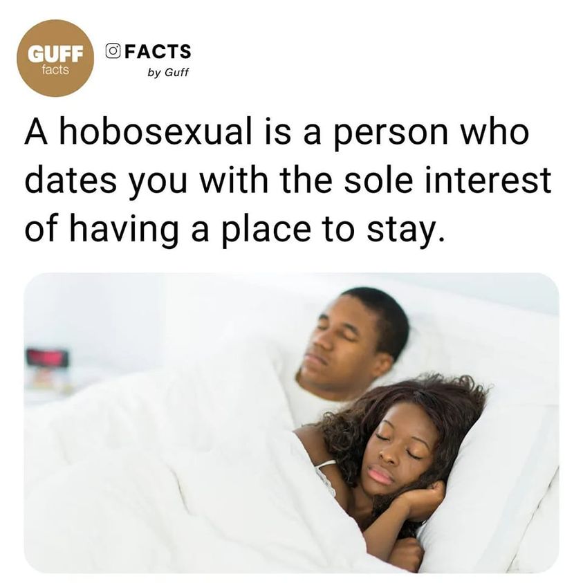 dank memes - mattress - Guff facts Ofacts by Guff A hobosexual is a person who dates you with the sole interest of having a place to stay.