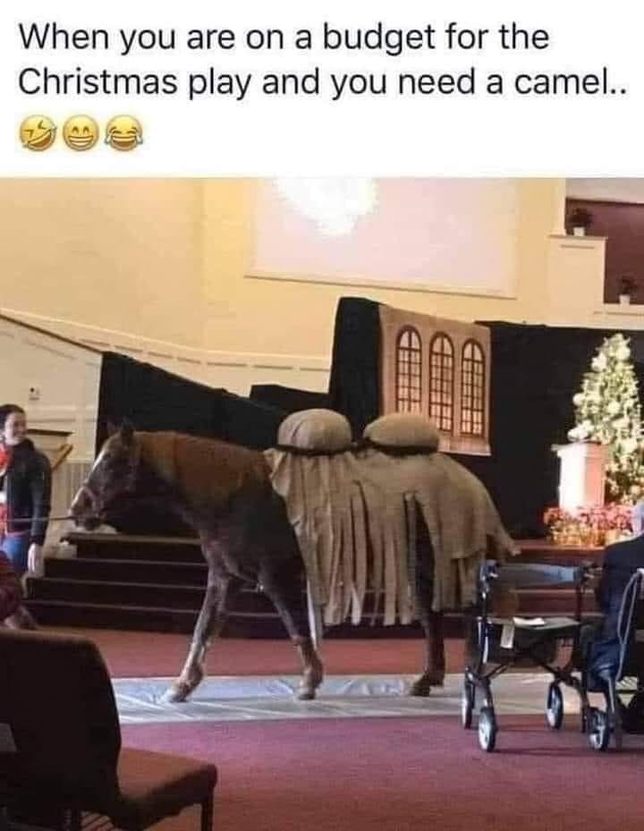 dank memes - Christmas Day - When you are on a budget for the Christmas play and you need a camel..