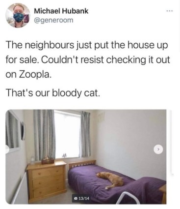 cool randoms  - zoopla cat - Michael Hubank The neighbours just put the house up for sale. Couldn't resist checking it out on Zoopla That's our bloody cat. 1314