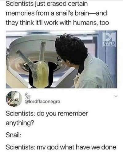 scientists erase snail memory - Scientists just erased certain memories from a snail's brainand they think it'll work with humans, too M Danki Scientists do you remember anything? Snail Scientists my god what have we done