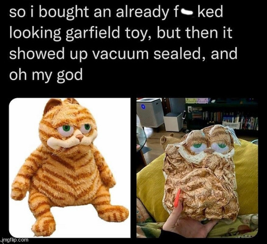 photo caption - so i bought an already f ked looking garfield toy, but then it showed up vacuum sealed, and oh my god imgflip.com