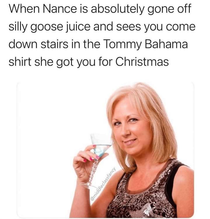 christmas tree - When Nance is absolutely gone off silly goose juice and sees you come down stairs in the Tommy Bahama shirt she got you for Christmas middleclassfancy