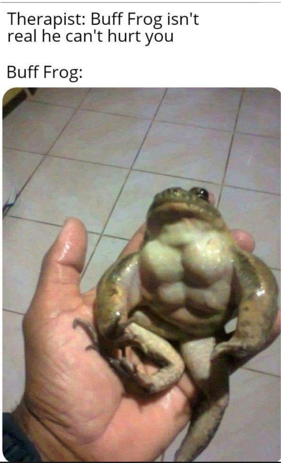buff frog - Therapist Buff Frog isn't real he can't hurt you Buff Frog