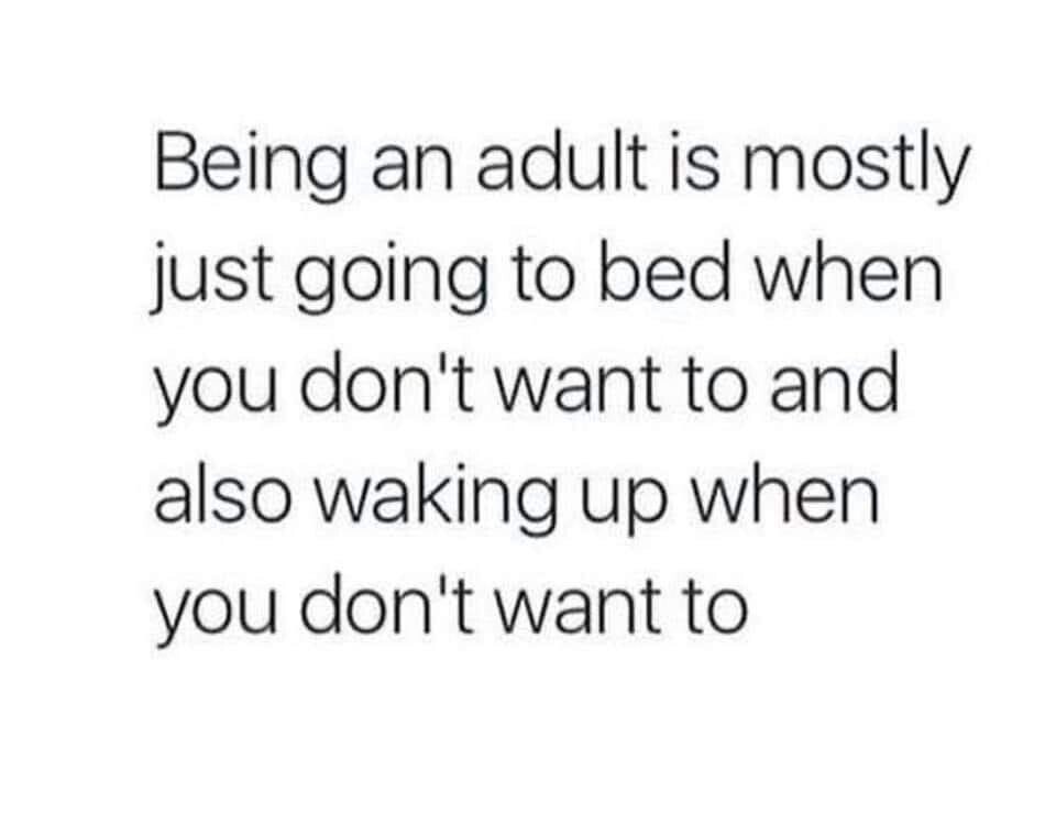 funny memes - fun pics - target beauty box - Being an adult is mostly just going to bed when you don't want to and also waking up when you don't want to