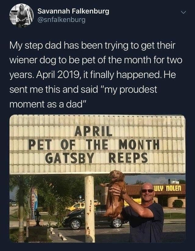 pet of the month meme - Savannah Falkenburg My step dad has been trying to get their wiener dog to be pet of the month for two years. , it finally happened. He sent me this and said "my proudest moment as a dad" April Pet Of The Month Gatsby Reeps "Uly No