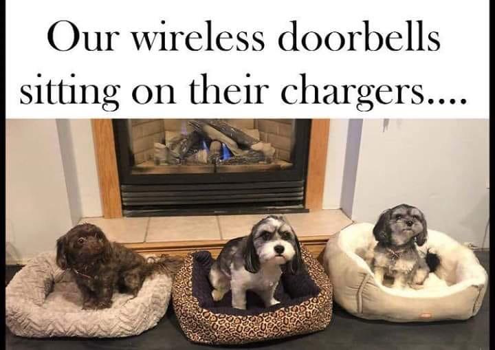 wireless doorbells sitting on their chargers - Our wireless doorbells sitting on their chargers...