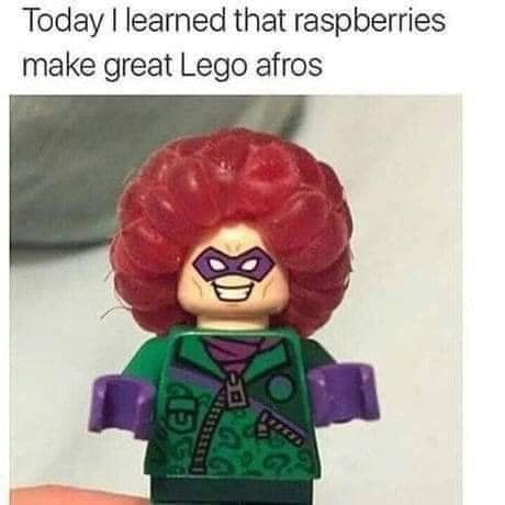 cool pics and memes - raspberries make great lego afros - Today I learned that raspberries make great Lego afros