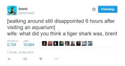 cool pics and memes - jesse cox 4chan - brent ing walking around still disappointed 6 hours after visiting an aquarium wife what did you think a tiger shark was, brent Betweets 5,724 10,664 210 Am 2