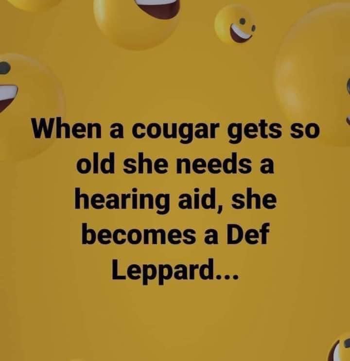 cougar gets so old she needs a hearing aid - When a cougar gets so old she needs a hearing aid, she becomes a Def Leppard...