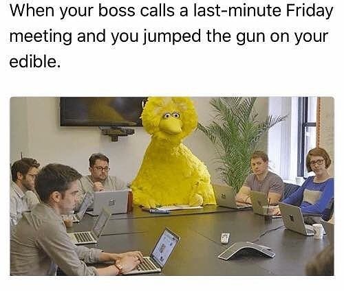 monday morning randomness - you jump the gun on your edible - When your boss calls a lastminute Friday meeting and you jumped the gun on your edible.