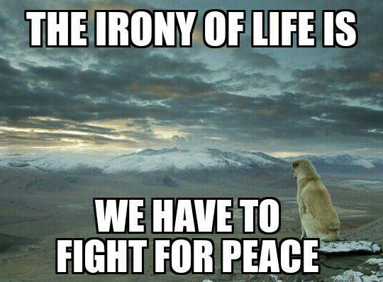 monday morning randomness - photo caption - The Irony Of Life Is We Have To Fight For Peace
