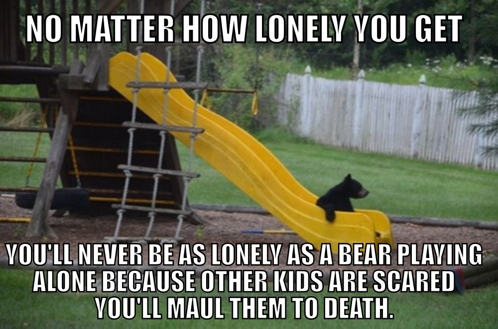 fun randoms - funny photos - bears on slide - No Matter How Lonely You Get You'Ll Never Be As Lonely As A Bear Playing Alone Because Other Kids Are Scared You'Ll Maul Them To Death.