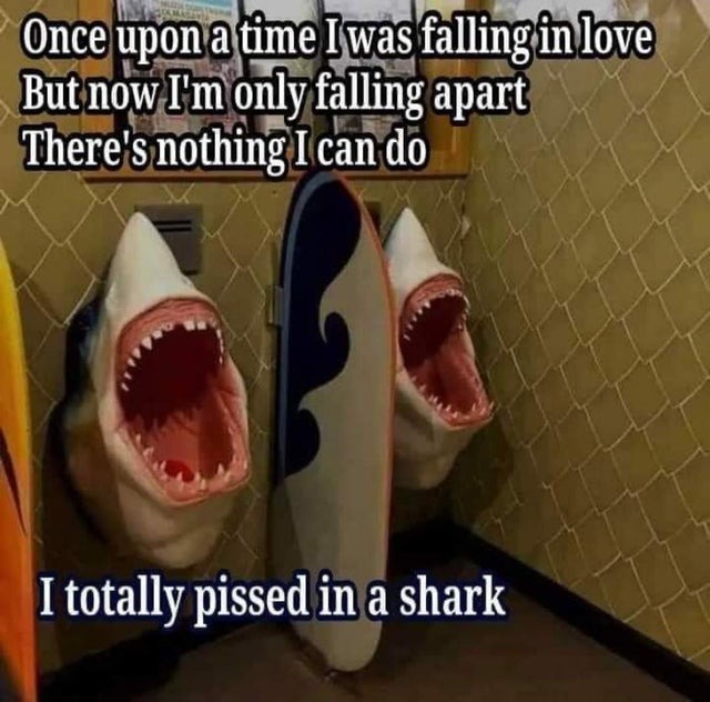 monday morning randomness-  r oddly terrifying - Once upon a time Iwas falling in love But now I'm only falling apart There's nothing I can do I totally pissed in a shark