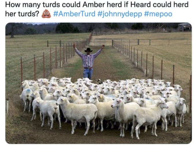 funny memes and random pics - Amber Heard - How many turds could Amber herd if Heard could herd her turds?