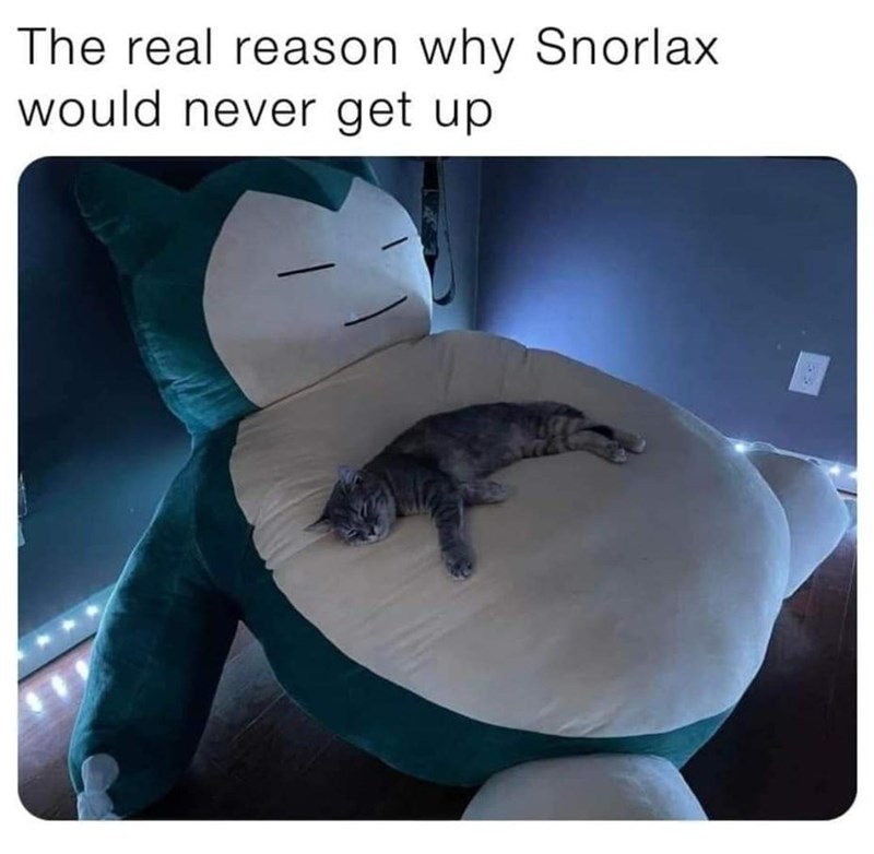 funny memes and random pics - cat sleeping on snorlax - The real reason why Snorlax would never get up