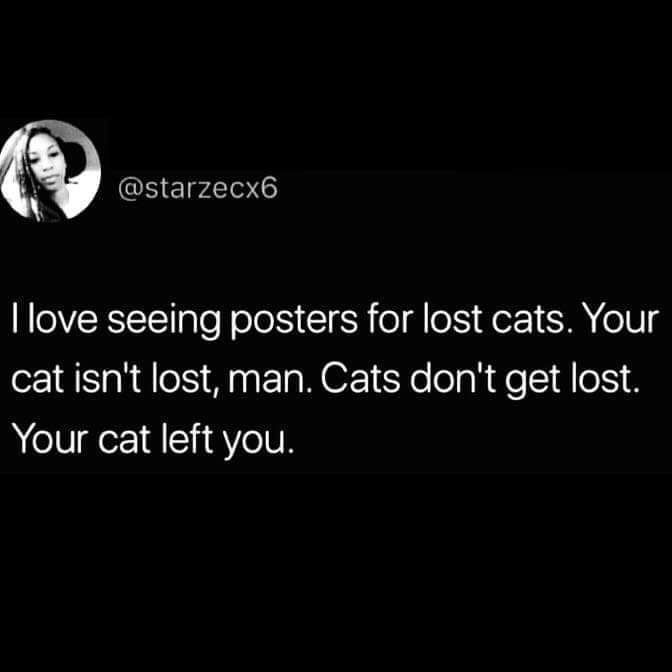 funny memes and random pics - Cat - I love seeing posters for lost cats. Your cat isn't lost, man. Cats don't get lost. Your cat left you.