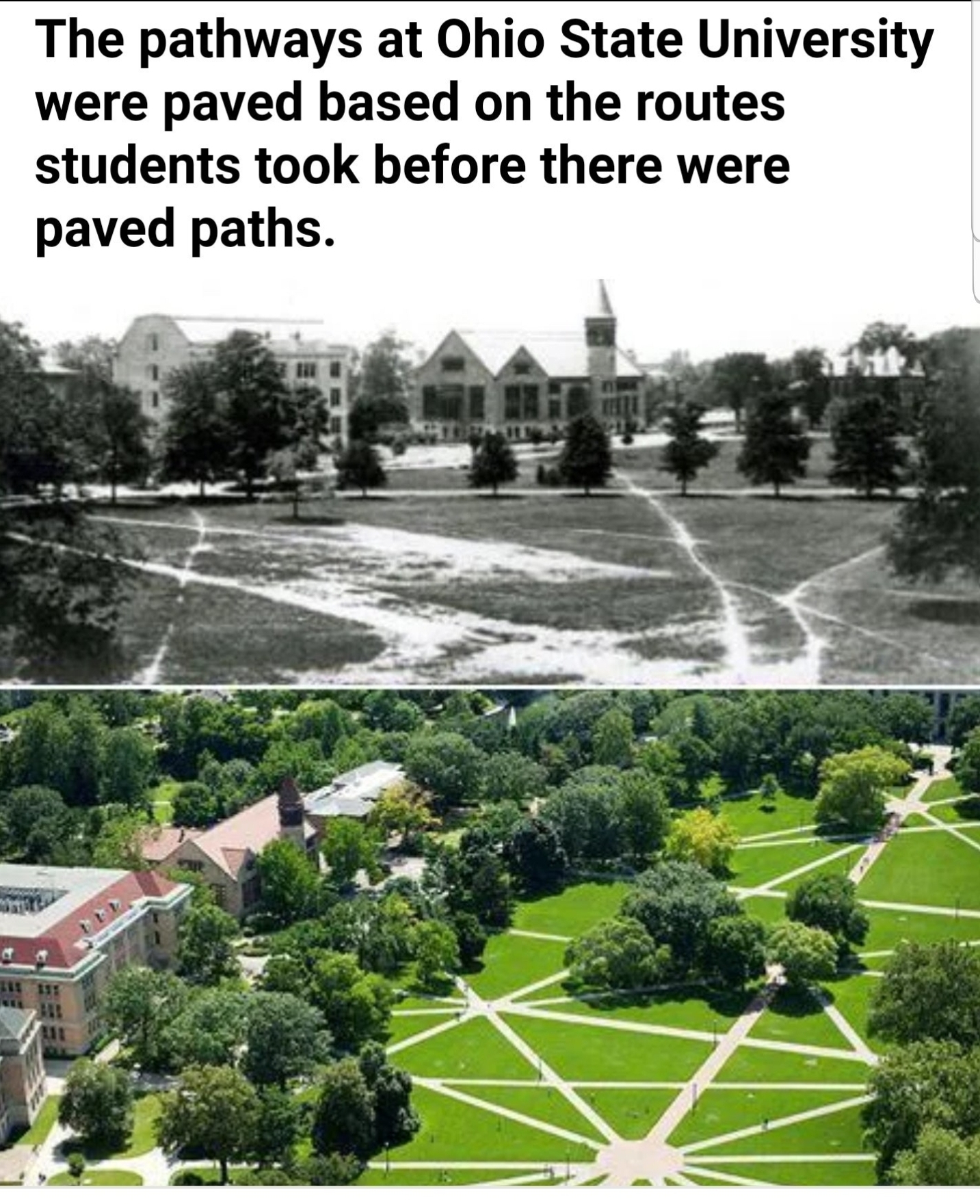 funny memes and random pics - desired paths - The pathways at Ohio State University were paved based on the routes students took before there were paved paths. 10