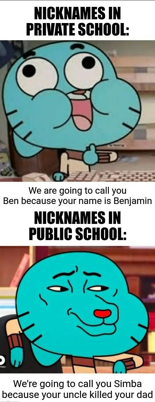 funny pics and memes - comics - Nicknames In Private School Com We are going to call you Ben because your name is Benjamin Nicknames In Public School We're going to call you Simba because your uncle killed your dad