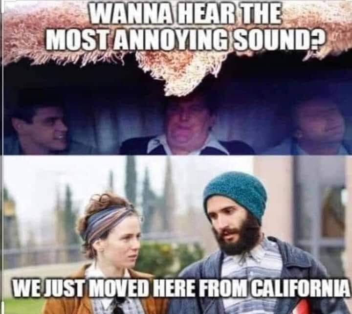 awesome randoms - wanna hear the most annoying sound we just moved here from california - Wanna Hear The Most Annoying Sound? We Just Moved Here From California