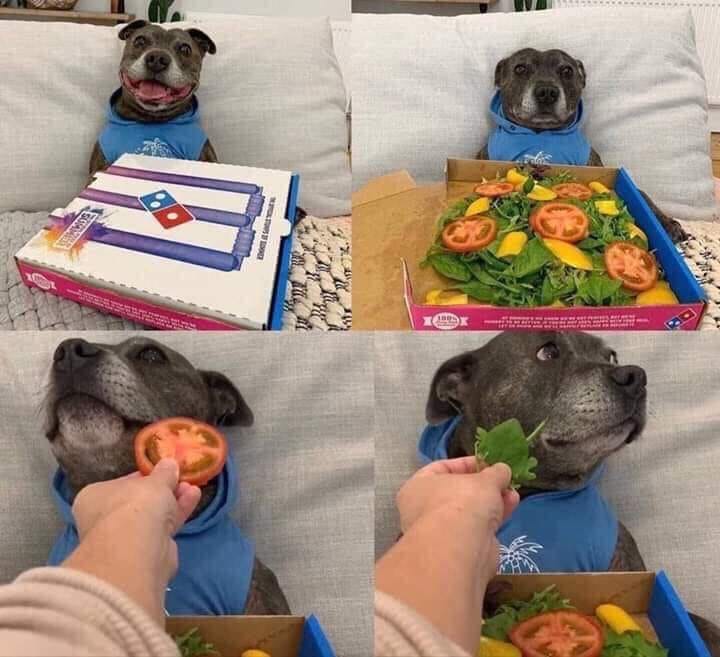 awesome randoms - dog vegetable pizza meme - Wave Ooc Tc
