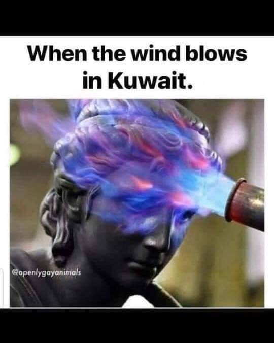 funny pics - you open the group chat for your daily roasting - When the wind blows in Kuwait.