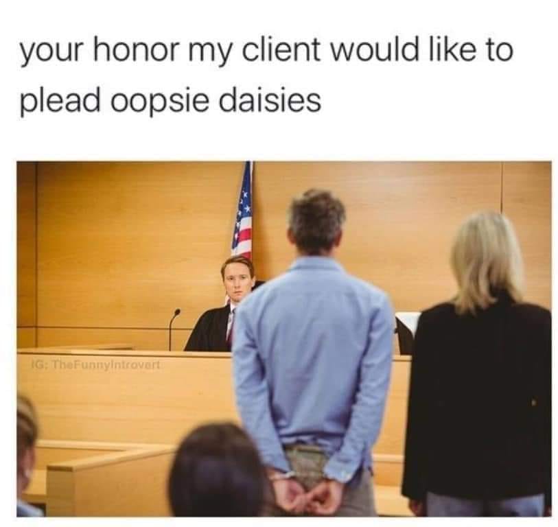 funny memes and pics - arraignment definition - your honor my client would to plead oopsie daisies Ig TheFunnyIntrovert