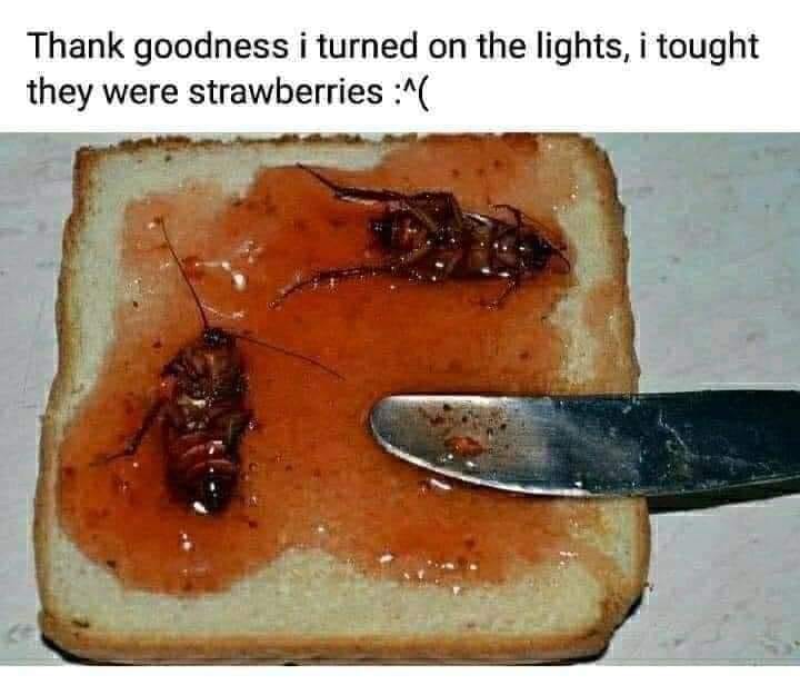 funny memes and pics - cockroach sandwich - Thank goodness i turned on the lights, i tought they were strawberries ^