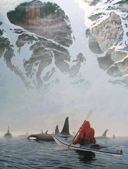 funny memes and pics - orcas cove ketchikan alaska