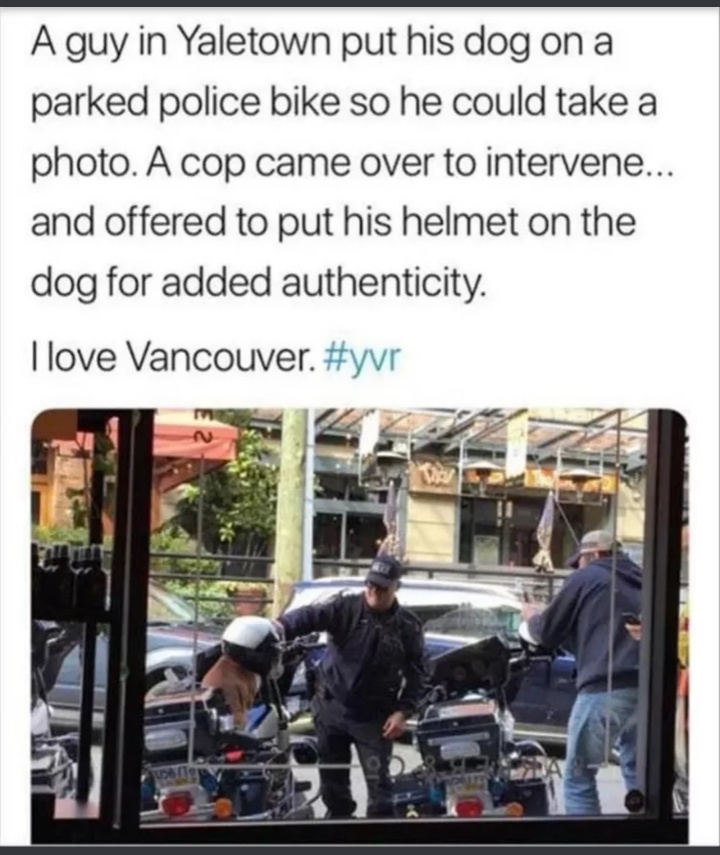 cool random pics - cool pics and memes sweet stories that restore faith in humanity - A guy in Yaletown put his dog on a parked police bike so he could take a photo. A cop came over to intervene... and offered to put his helmet on the dog for added authen
