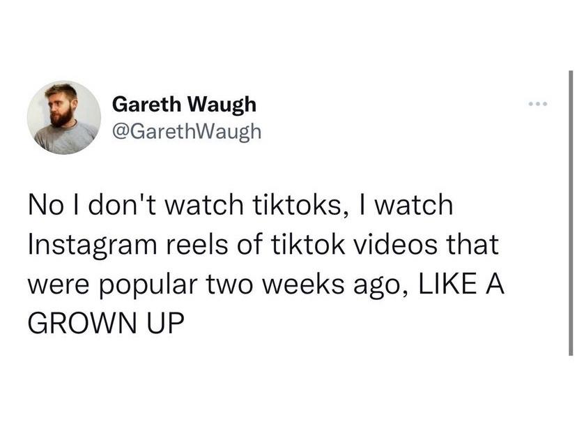 awesome pics and memes - wolfkin - Gareth Waugh No I don't watch tiktoks, I watch Instagram reels of tiktok videos that were popular two weeks ago, A Grown Up