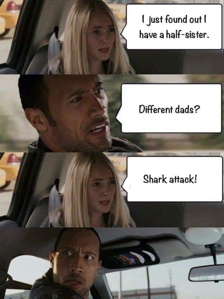 awesome pics and memes - you doing on valentine's day meme - I just found out I have a halfsister. Different dads? Shark attack!
